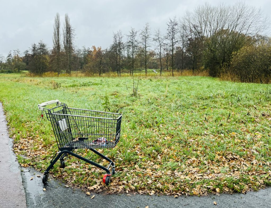 Winkelkarretje staat in een park aan de rand van een grasveld